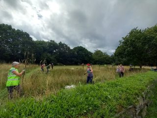 Hard at work Annual Scythe August 2023  